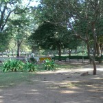 law garden